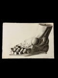 19th Century Antique Academic Drawing Of Hercules Foot 1880s Art